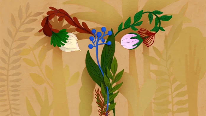 Vaginal microbiome